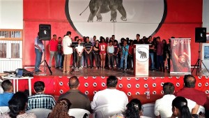 VHP installeert 15 nieuwe kernen (1)