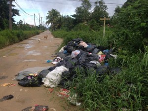 1 Vuil slechte Tout Lui Faut Middenweg 2 weken niet opgehaald (1)