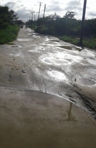 1 Vuil slechte Tout Lui Faut Middenweg 2 weken niet opgehaald (2)