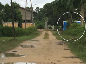 1Rijstboeren snakken naar water, terwijl nieuwe pompen gesmeten zijn in Wageningen