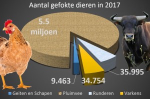 1 Suriname produceerde in vijf jaren 25 miljoen pluimvee1