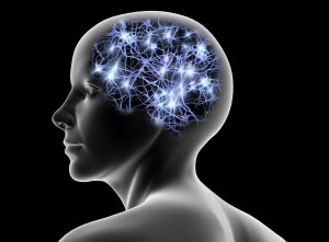 Conceptual computer artwork of a female head showing nerve cells within a brain shape.