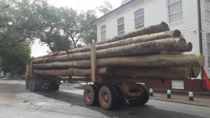 1Zwaar houttransport langs Presidentieel paleis1