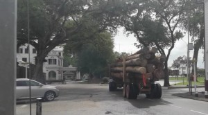 1Zwaar houttransport langs Presidentieel paleis2