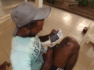 Hand-outs waaronder pamfletten worden verdeeld. Daarbij horen persoonlijke motivatiegesprekken om de samenleving te bewegen, de paarse partij te volgen