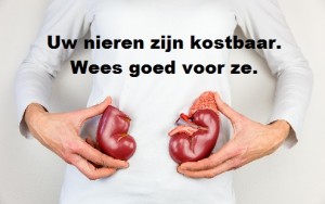 1Artikel Locomotorius 2