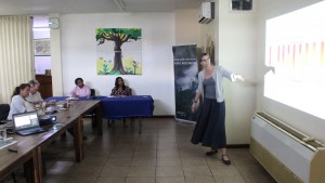 Green-Grey Infrastructuur voor Weg naar Zee