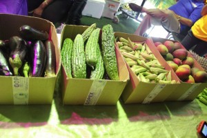 WhatsApp Image 2019-05-02 at 10.15.53