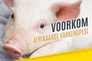 1 Stutgard pleit voor zero tolerance om Afrikaanse varkenspest buiten de deur te houden