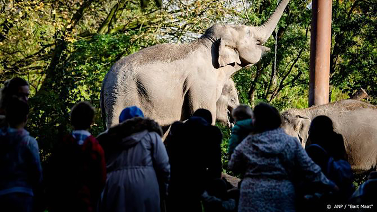 Dierentuinen trokken in 2019 meer bezoekers – Dagblad Suriname