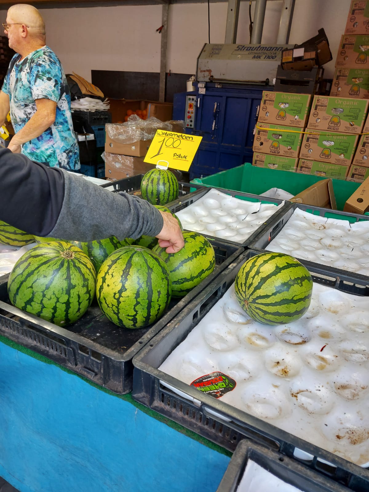 luisteraar Misschien Zichtbaar Watermeloenen, een prijsvergelijking met Nederland – Dagblad Suriname