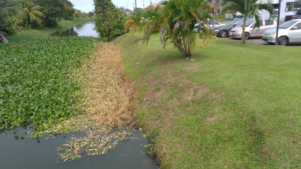 Een halfstok gehesen vlag op een modderschuit Dagblad Suriname Een halfstok gehesen vlag op een modderschuit Dagblad Suriname