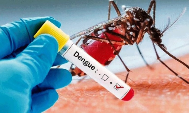 В регионе растет число инфекций денге, суринамцы должны быть бдительными — Dagblad Suriname